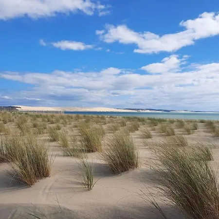 Appartement Terrasse, Quartier Très Prisé